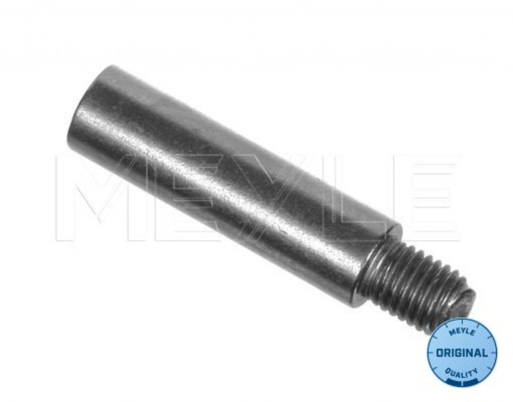 Brake Caliper Guide Bolt